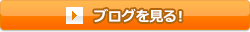 ブログを見る