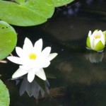 浮気調査を終えたご依頼主様からのメール