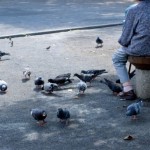九州から家出調査の依頼