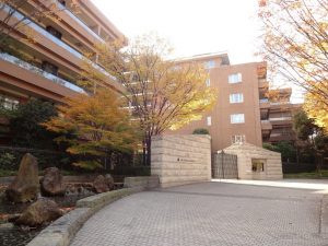 遠方に住む娘の交際相手と親族について調べたい