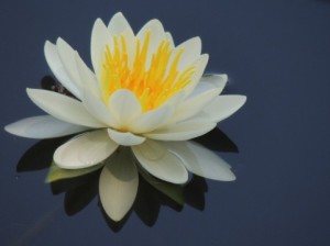 忘れられない家出調査
