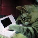 私共ならではのオーダーメイドの調査を