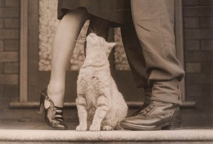 ５５年前の恋人は今どこに？ | 人探し