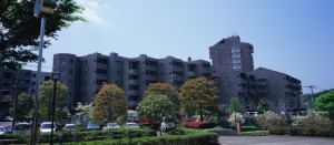 後継者候補の住所が知りたい｜所在調査