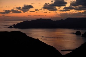 奥様との約束を甘く見た代償は……｜浮気調査